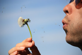 Man making a wish by blowing on a dandelion