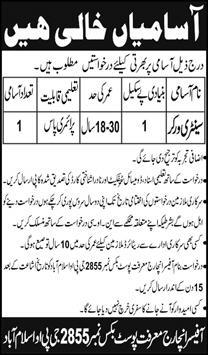 Government Organization Labor Jobs In Islamabad 2024
