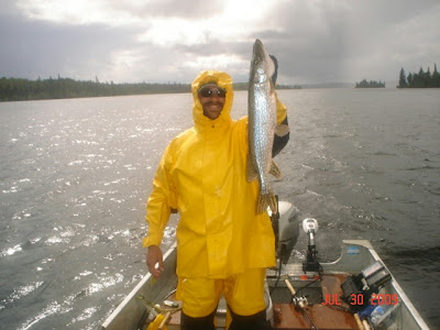 northern pike on a rainy day