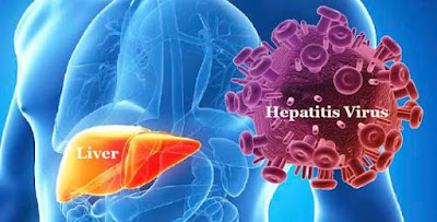 3 Ramuan Herbal Pengobatan HEPATITIS Dengan Tumbuhan Mahkota Dewa Sinergis