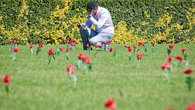 REMEMBRANCE DAY PIC