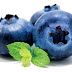 Gambar Buah Blueberry