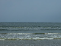 How New Orleans Goes to the Beach & Lemon Garlic Shrimp Pasta