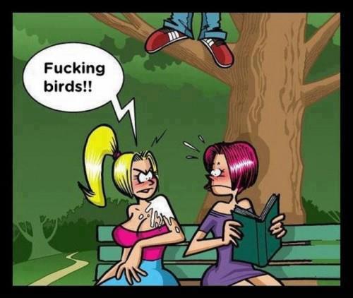 These are not birds..lol