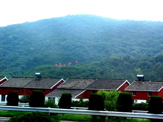 IMG_2883 IMG_2883