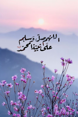 زهور جميلة وبجوارها، اللهم صلّ وسلم علي نبينا محمد