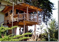 800px-Tree_house 1