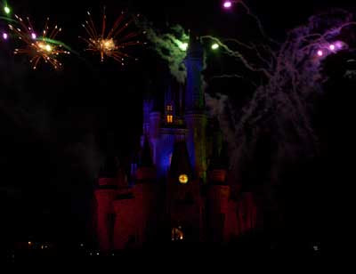 walt disney world castle fireworks. After the fireworks we stayed