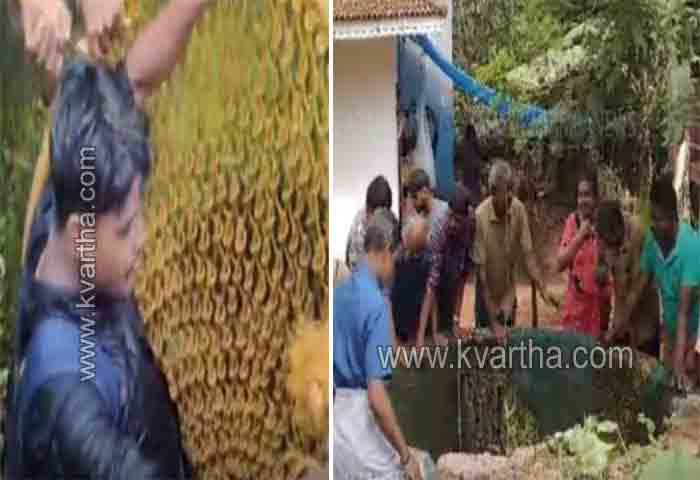News, Kerala, Kerala-News, Accident-News, Regional-News, Iritty News, Peravoor News, Kannur News, Bike Accident, Youth, Rescued, Kannur: Bike lost control and fell into well.