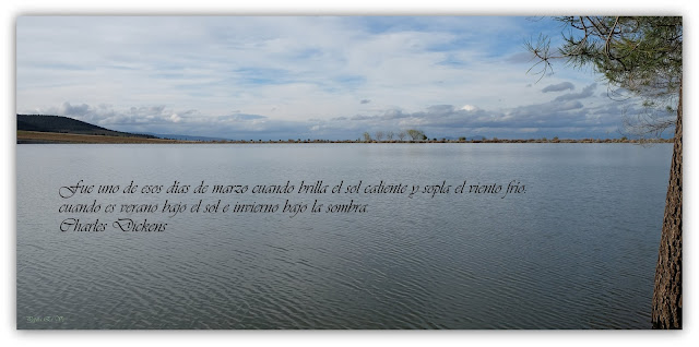 Pantano.Cogollos