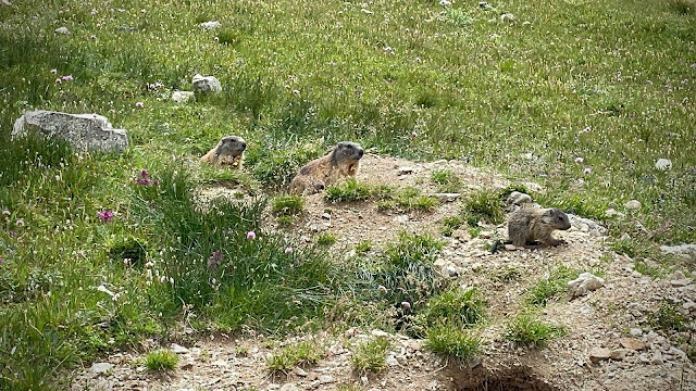 rifugio_taramelli_dolomiti