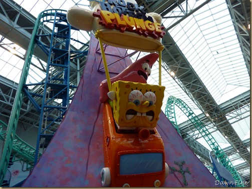 mall of america_20090814_018