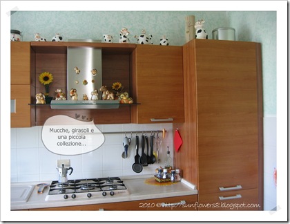 la mia cucina 1