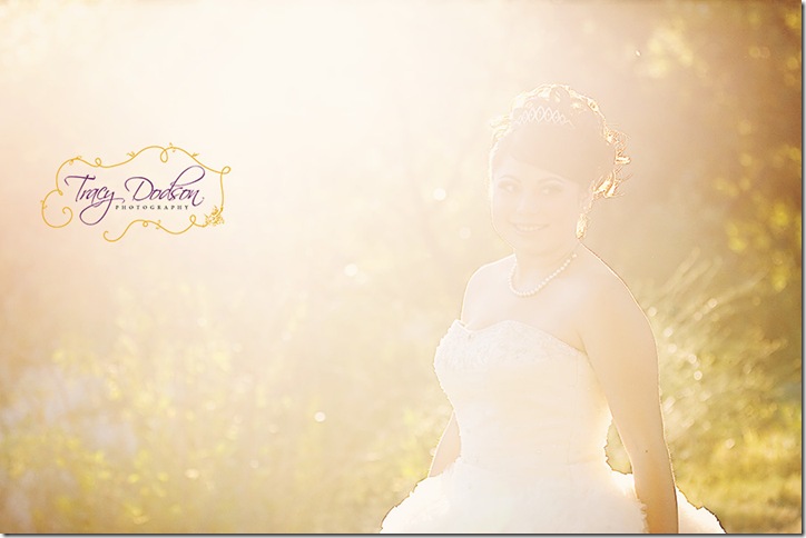 Alondra Cam 2   288j london