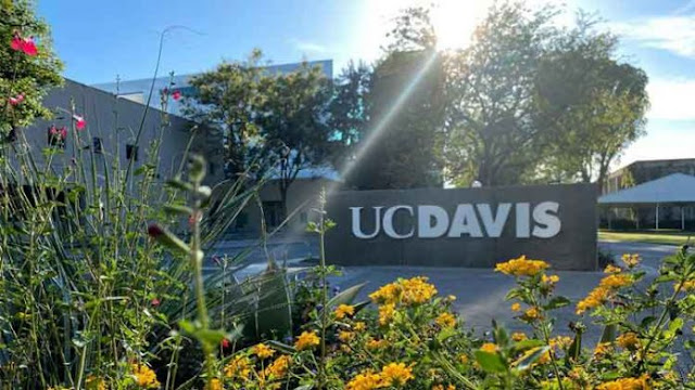 MyUCDavis: Helpful Guide to Access UC Davis Portal 2022