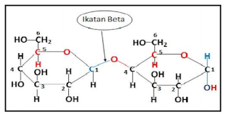 Rumus Struktur Selulosa β
