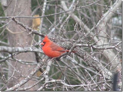 February 2011 019
