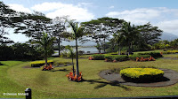 Dole Plantation garden, Oahu, HI