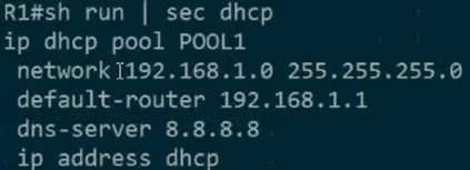 show running config section dhcp