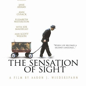 Sensation of Sight 2006 poster