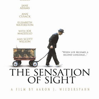 Sensation of Sight 2006 poster