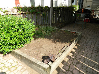 Palmerston Little Italy Toronto Back Yard Garden Cleanup after by Paul Jung Gardening Services