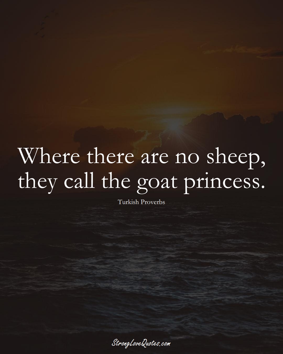 Where there are no sheep, they call the goat princess. (Turkish Sayings);  #MiddleEasternSayings