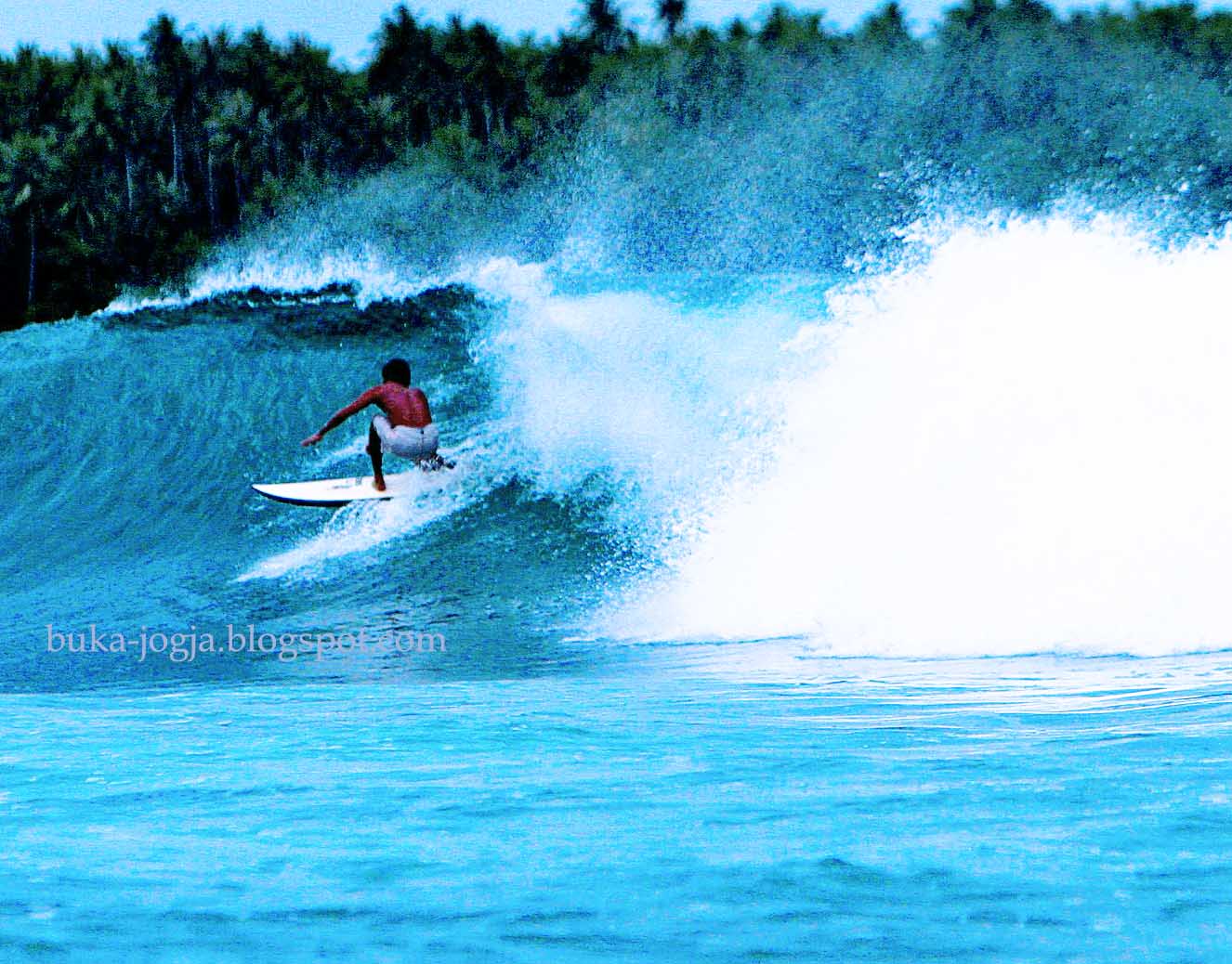 Download this Pantai Sorake Surfing Kompetisi Selancar Aceh picture