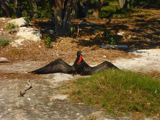 P1020198