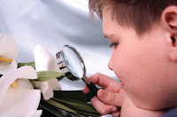 NAMC montessori curriculum explained sciences materials activities philosophy looking at flower with magnifying glass