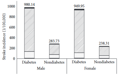 図：糖尿病と脳卒中 男女
