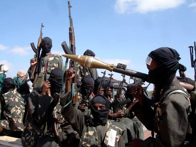 Somalia Strikes Back: Danab Commandos Deal Major Blow to al-Shabab in Lower Jubba