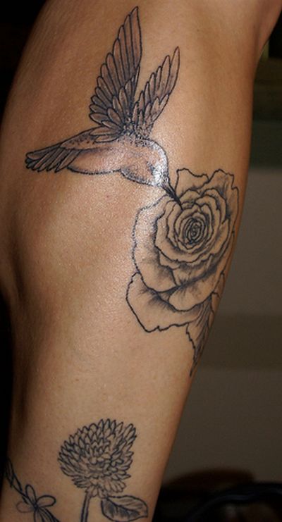 Humming Bird Tattoos Design