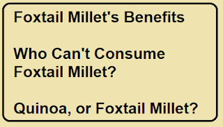 What is Foxtail Millets and Uses