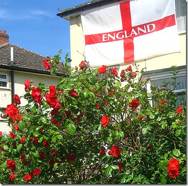 World Cup Slovenia 0 England 1