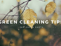 Consider These Green Cleaning Tips for Green Living