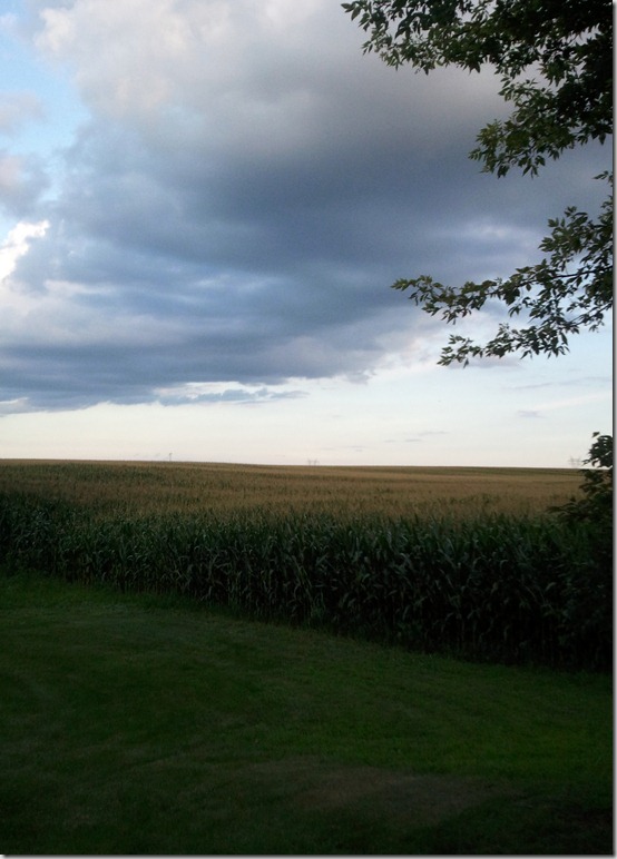 2011-08-09_19.23.49_picnik
