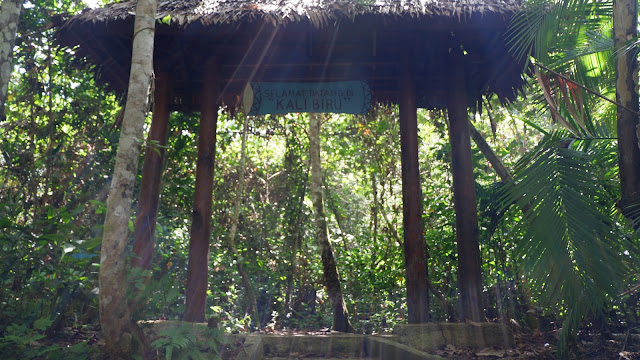 menyusuri hutan menuju kalibiru