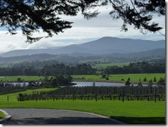 Yarra Valley - 1000848