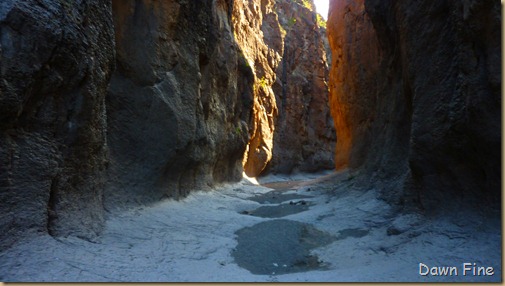 Big Bend Ranch State park_117