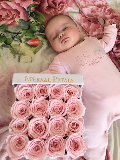 Eternal Petals 