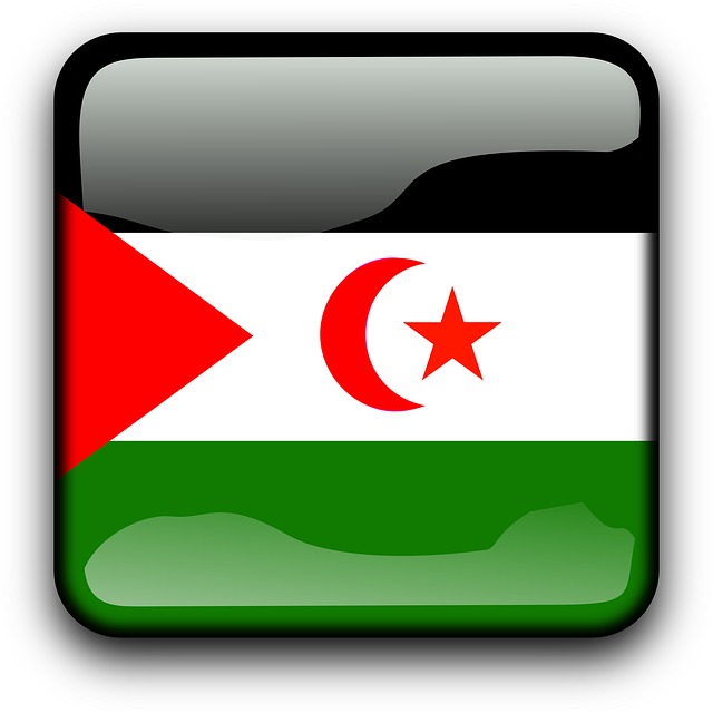 Profil negara Sahara Barat
