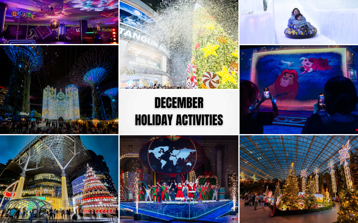 December Holiday Activities in Singapore : 9 Things to Do!