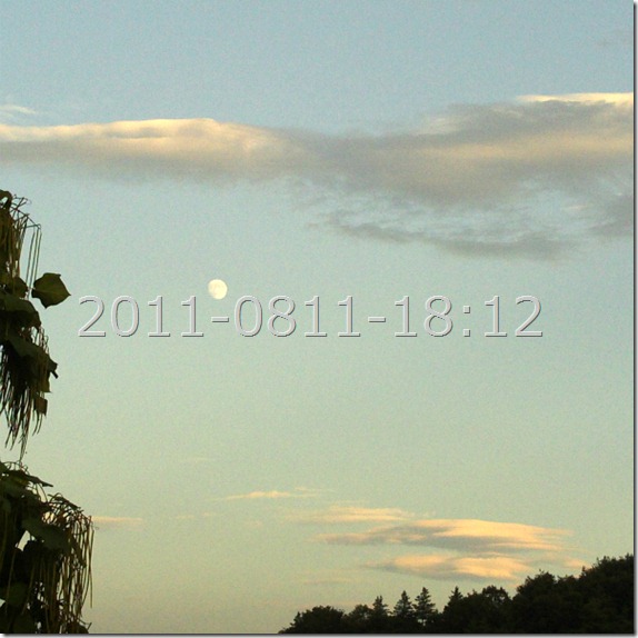 800x20110811_18：12：42_digi012