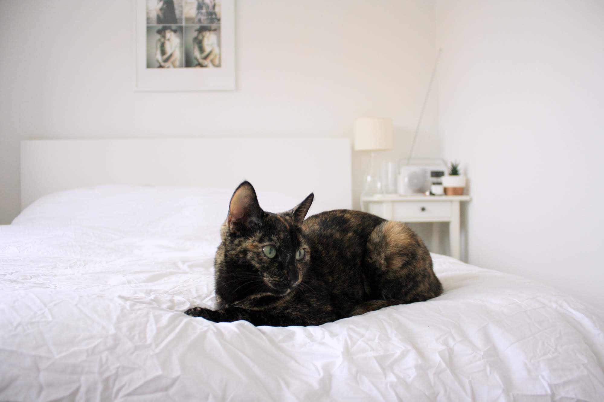 annalouelliott bedroom