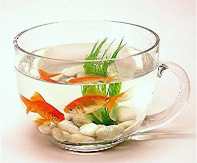 14 Creative and Cool Fishbowl Designs (14) 8