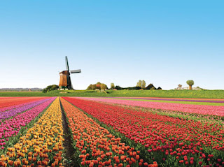 Green Pear Diaries, turismo, viajes, parques, Parque Keukenhof, Holanda