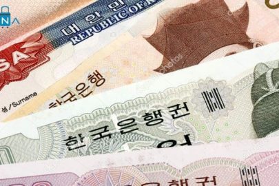 Hướng dẫn chuẩn bị hồ sơ gia hạn visa F3 (người bảo lãnh D2)