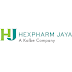 Lowongan Kerja Terbaru PT Hexpharm Jaya Laboratories (a Kalbe Company)
April 2024