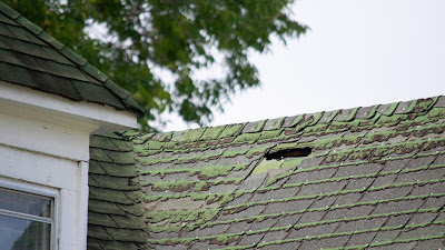 Roofing Company Ann Arbor